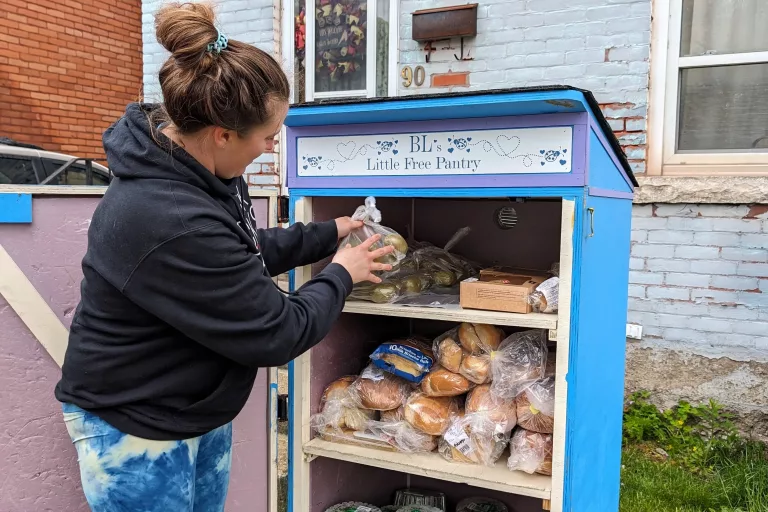 Bls Little Free Food Pantry, akin to a food bank